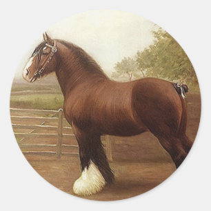 Sticker Antique Bay Clydesdale Draft Horse Parade
