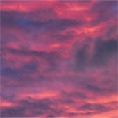 Sticker août rouge (Devant)