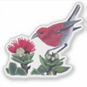 Sticker Apapane & Lehua Blossom Hawaii Nature Illustration (Devant)