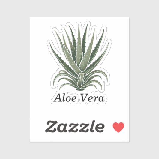 Sticker Apothicaire Herbal à base de plante d'Aloe Vera  (Feuille)