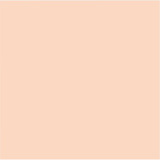 Sticker Apricot (couleur solide) (Devant)