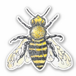 Sticker Aquarelle