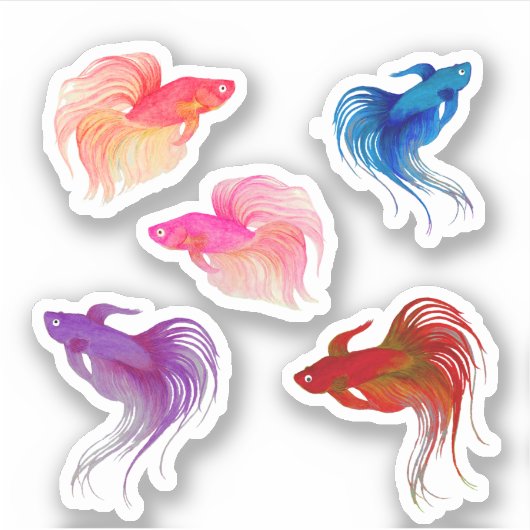 Sticker Aquarelle Betta Fish (Devant)