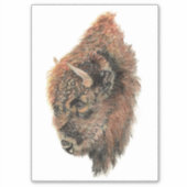 Sticker Aquarelle Bison Buffle Art animal sauvage (Devant)