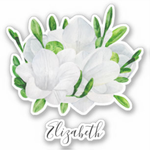 Sticker Aquarelle blanche frénésie. Nom floral élégant