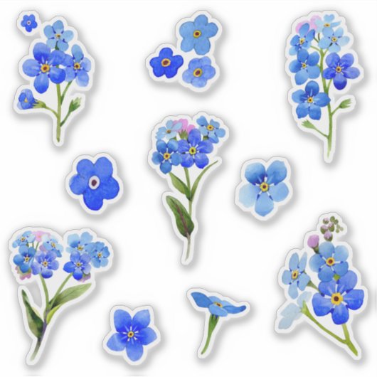 Sticker Aquarelle bleue Oubliez-moi pas Fleurs Vinyl (Devant)