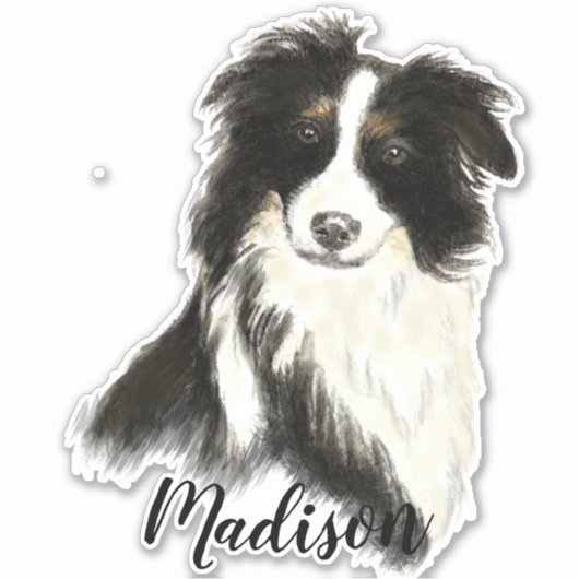 Sticker Aquarelle Bordure Collie Chien Animaux Animaux Nat (Devant)