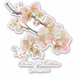 Sticker Aquarelle douce rose orangé fleurs de printemps