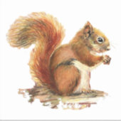 Sticker Aquarelle Écureuil rouge Animal Nature Art (Devant)