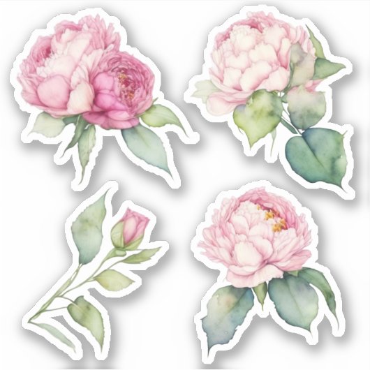 Sticker Aquarelle florale rose pis rose roses roses (Devant)