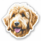 Sticker Aquarelle Goldendoodle (Recto)