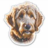 Sticker Aquarelle Goldendoodle (Devant)