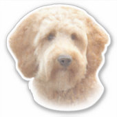 Sticker Aquarelle Goldendoodle (Devant)