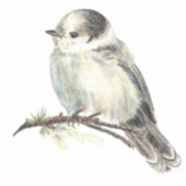 Sticker Aquarelle Gris Jay Faune Oiseau Nature Art (Devant)