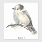 Sticker Aquarelle Gris Jay Faune Oiseau Nature Art (Feuille)