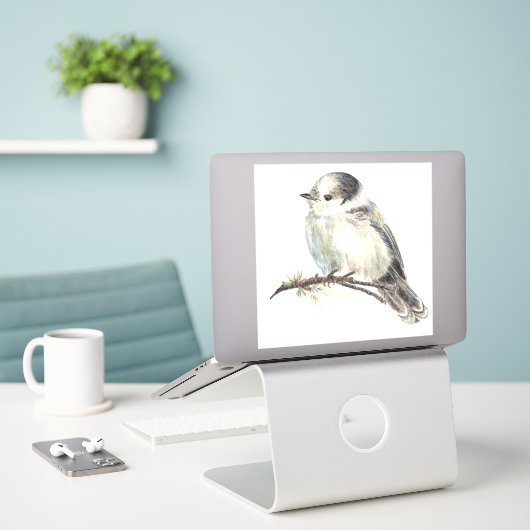 Sticker Aquarelle Gris Jay Faune Oiseau Nature Art (Ordinateur portable sur le bureau)