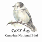 Sticker Aquarelle Gris Jay Faune Oiseau Nature Art (Devant)