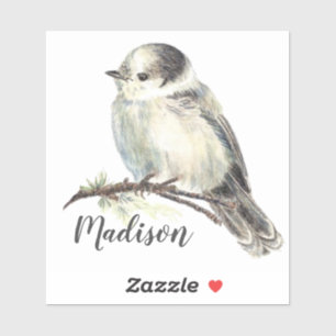 Sticker Aquarelle Gris Jay Oiseau Nature Nom personnalisé