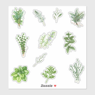 Sticker Aquarelle Herbes de cuisine vertes
