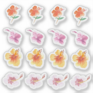 Sticker Aquarelle Hibiscus Fleurs Colorées Peintes à la Ma