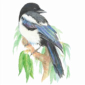 Sticker Aquarelle Magpie Jardin Oiseau Nature Art (Devant)