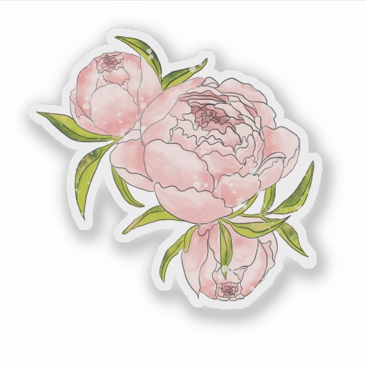 Sticker Aquarelle rose Peony Illustration à main (Devant)