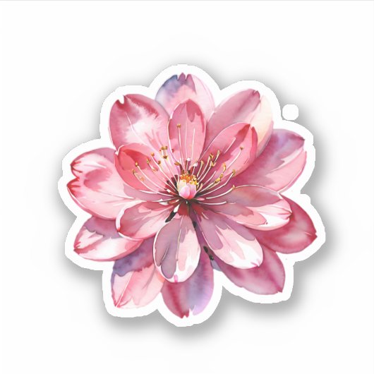 Sticker Aquarelle rose Sakura fleurs de cerisier (Devant)