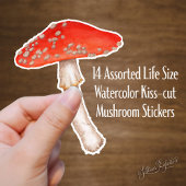 Sticker Aquarelle rouge tachetée Champignons
