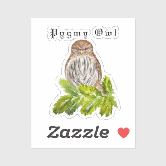 Sticker Aquarelle Saw Whet Cute Little Owls (Feuille)