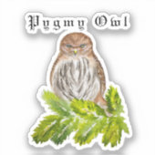 Sticker Aquarelle Saw Whet Cute Little Owls (Recto)