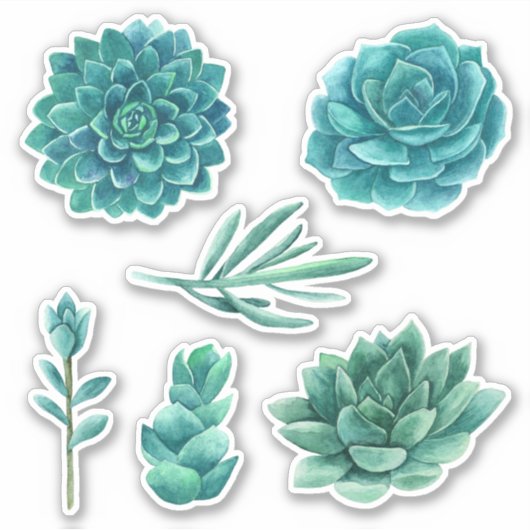 Sticker Aquarelle succulente. Cactus bleu. cactus turquois (Devant)