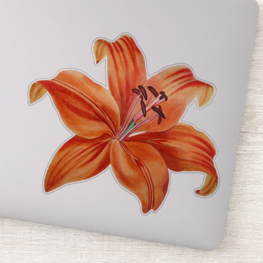 Sticker Aquarelle vintage Orange et Lily rouge (Détail)
