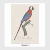 Sticker Ara chloroptère (Feuille)