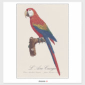 Sticker Ara rouge ou Ara macao, Ara macao (Feuille)