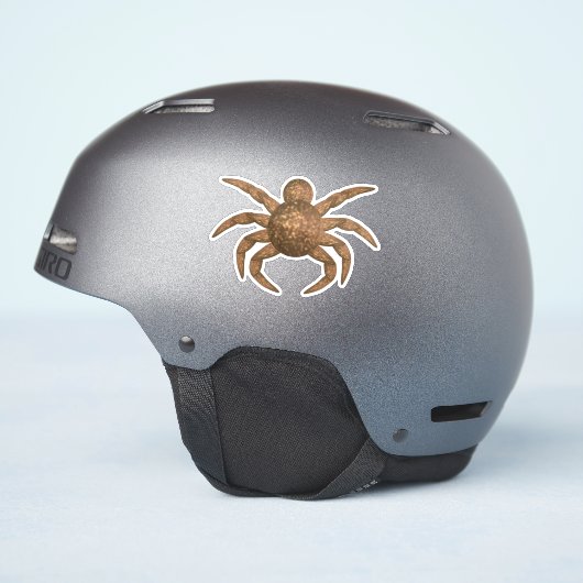 Sticker Araignée brune (Côté casque)