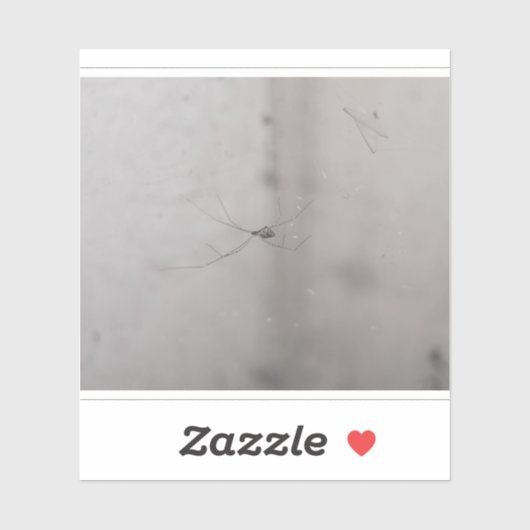 Sticker araignée de cave cosmopolite (Feuille)