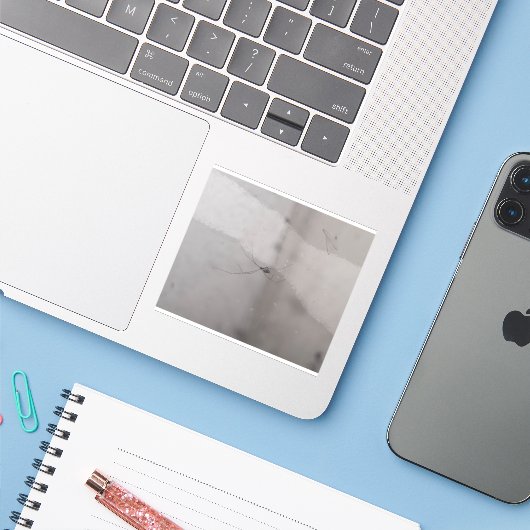 Sticker araignée de cave cosmopolite (Ordinateur portable avec iPhone)