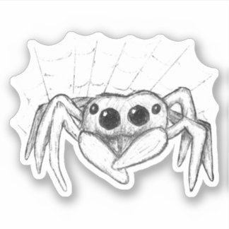 Sticker Araignée mignonne et croquis Web