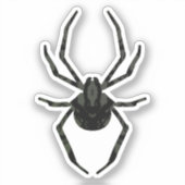 Sticker Araignée ordinaire (Recto)