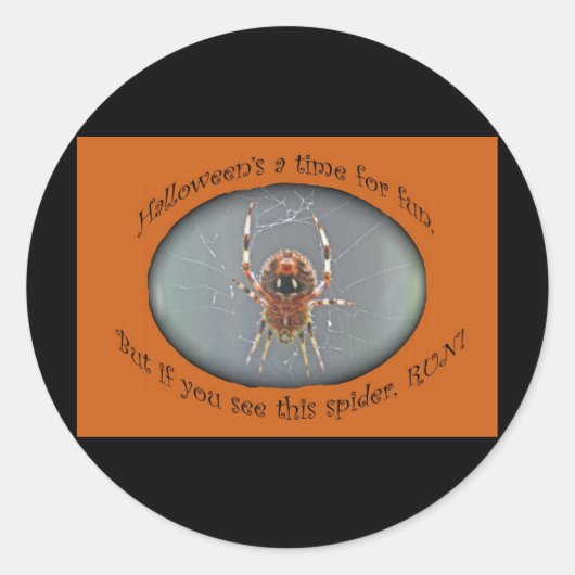 Sticker Araneus Orb Weaver Spider Halloween (Devant)