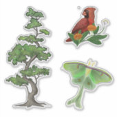 Sticker Arbre, Luna Moth et Cardinal Bird Nature (Devant)