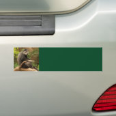 Sticker Arrière - plan de singe (En voiture)