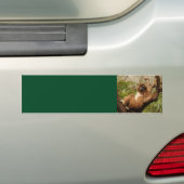 Sticker Arrière - plan de singe (En voiture)