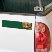 Sticker Arrière - plan de singe (Sur camion)