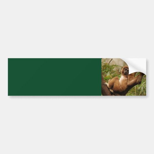 Sticker Arrière - plan de singe (Devant)