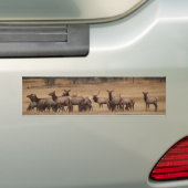 Sticker Arrière - plan pour oreillette (En voiture)
