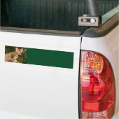 Sticker Arrière - plan Savannah Cat (Sur camion)