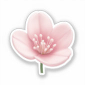 Sticker Art Emoji en fleurs de cerisier rose (Recto)