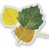 Sticker Aspen feuilles (Devant)