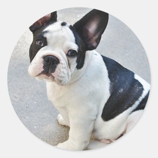 Sticker assise (Devant)